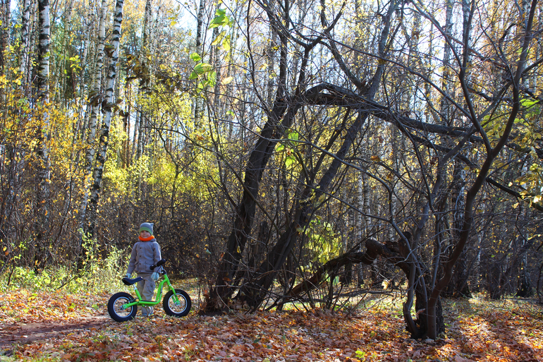 Осень в Переделкино...