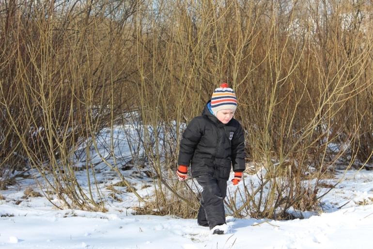 Заснеженный март