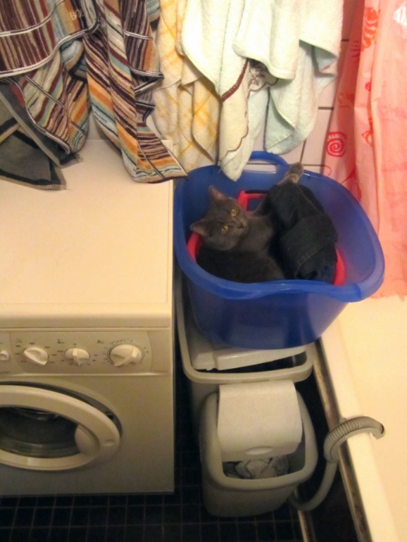 Любимое спальное место