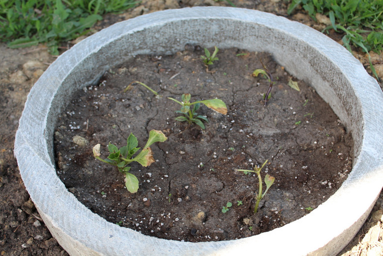 огородное (до отпускное)