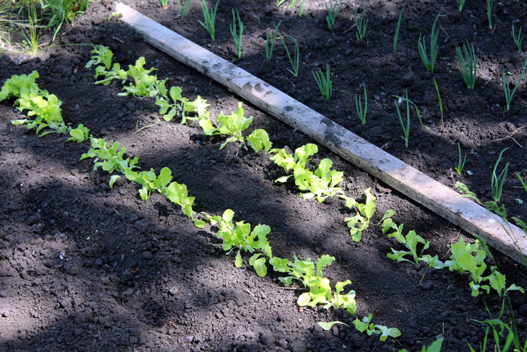 огородное (до отпускное)
