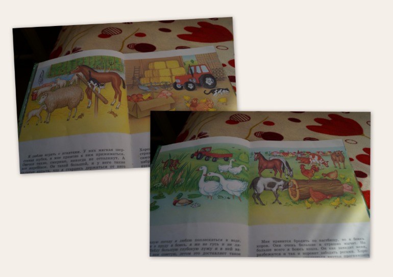 Читательский дневник  с 25 сентября - 3 октября.