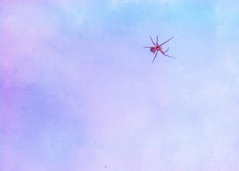 Тест-драйв костюмов