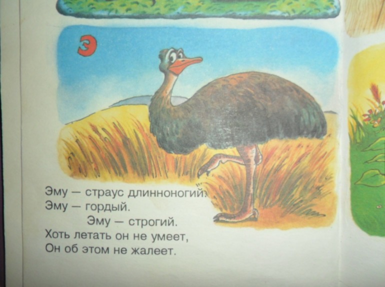 ТН