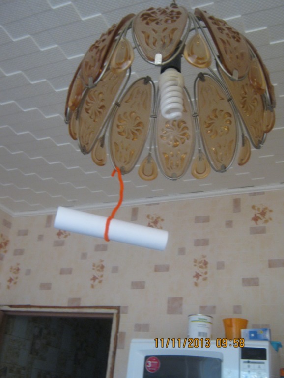 Половинка дня рождения)