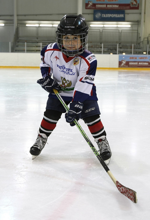 Мои хоккеисты