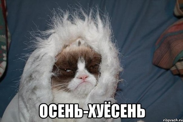 Мой портрет. Именно так я выгляжу сейчас.
