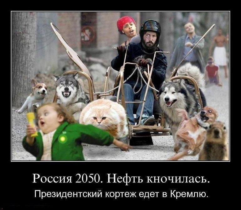 794c26d04c2002170f0f47c52aacab08.jpg