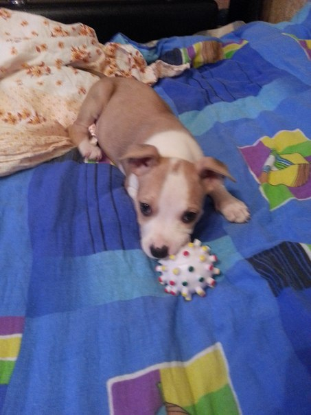 Наша Адочка