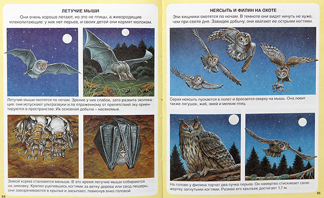 Наше энциклопедическое, книжное