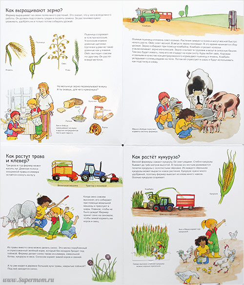 Наше энциклопедическое, книжное