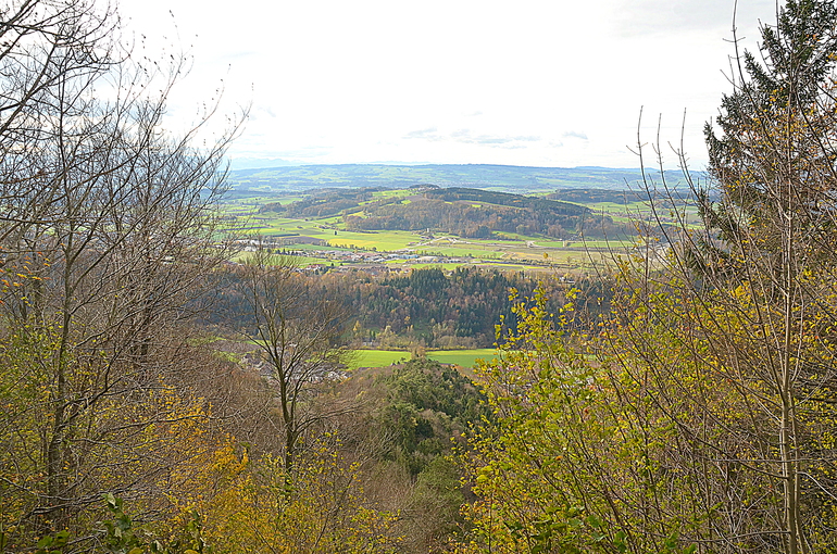 Приехали, пока фото)