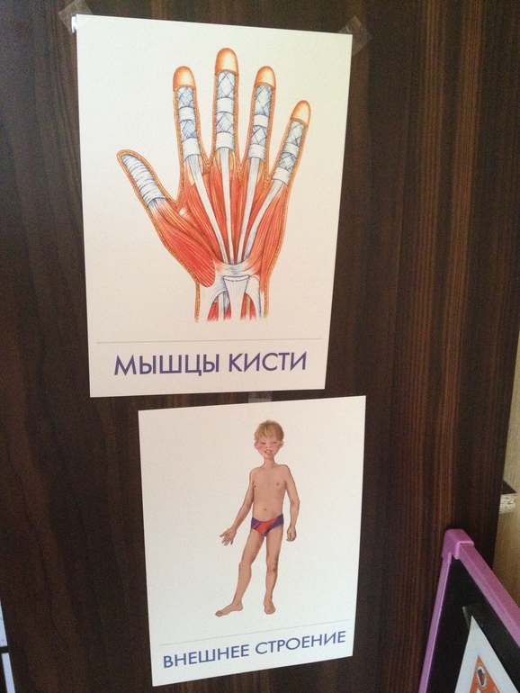 ФМ 