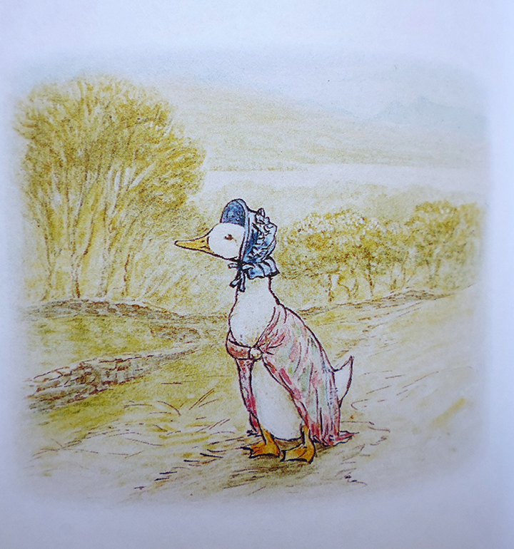 Все о кролике Питере и другие наши зайцы-иностранцы