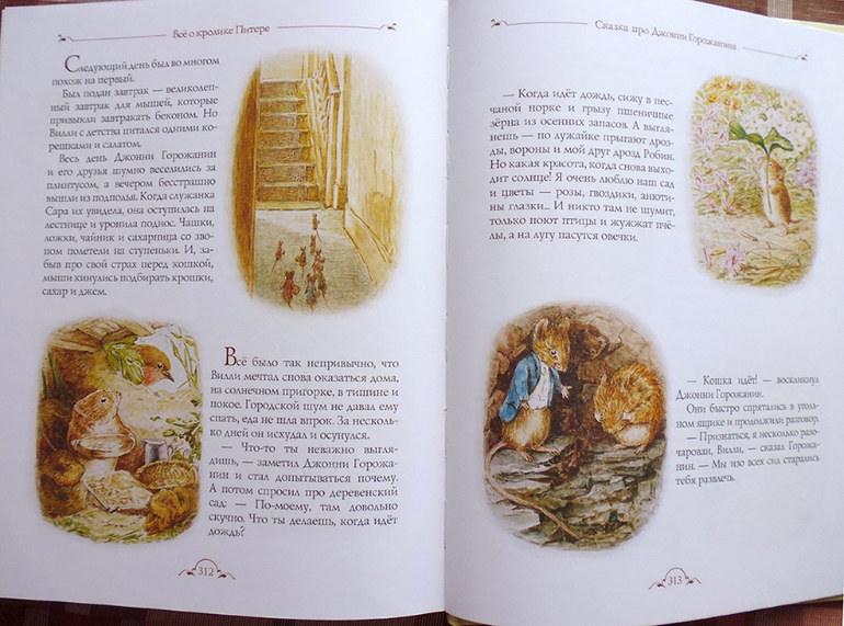 Все о кролике Питере и другие наши зайцы-иностранцы