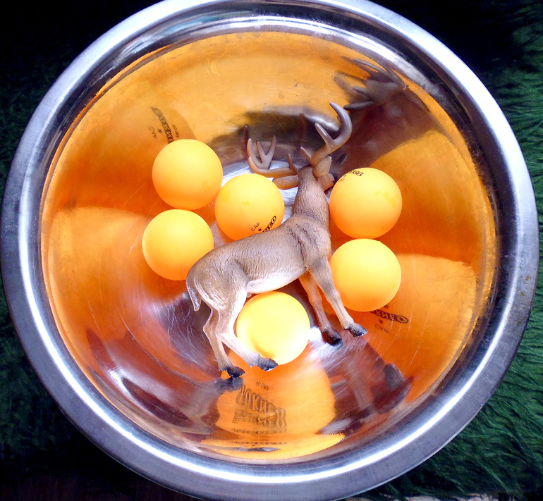 Майские игры. Часть 1. Игры с водой.