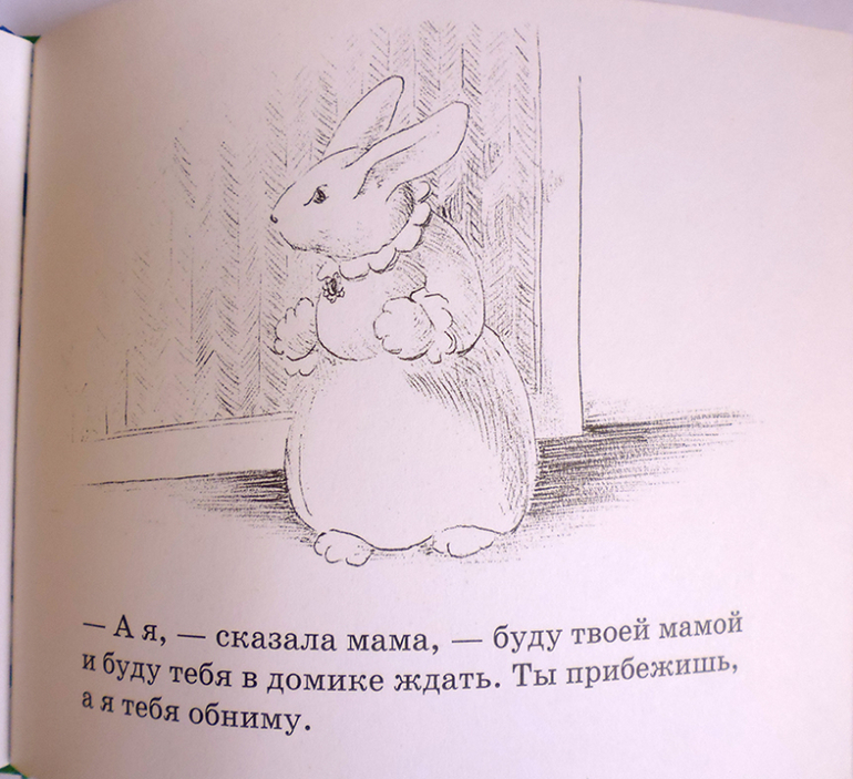 Все о кролике Питере и другие наши зайцы-иностранцы