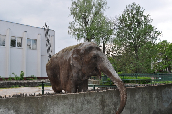 Калининградский Зоопарк