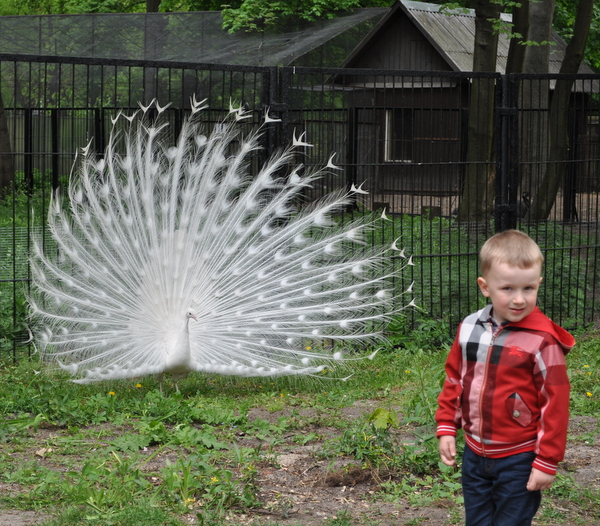 Калининградский Зоопарк