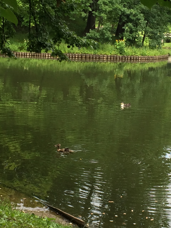 Парк Царицыно ЖДЕТ НАС!!!