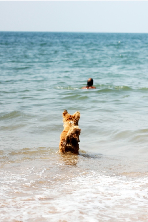 МЫ УЛЕТАЕЕЕМ!!!! ЕЕЕЕ