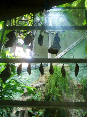 Тематическая неделька о насекомых и прочей мелюзге))