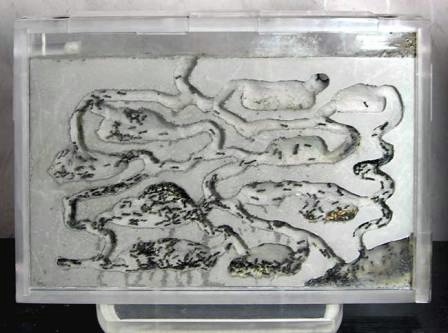 Тематическая неделька о насекомых и прочей мелюзге))