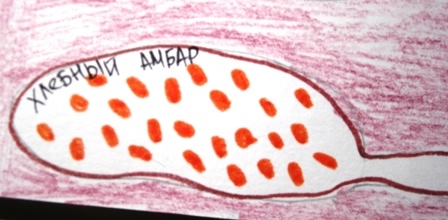 Тематическая неделька о насекомых и прочей мелюзге))