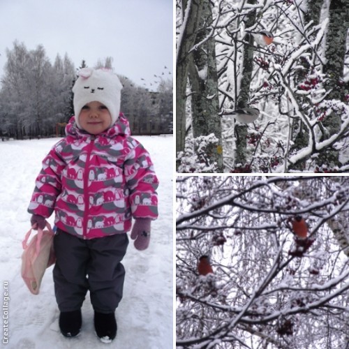 За три недели до Нового Года...