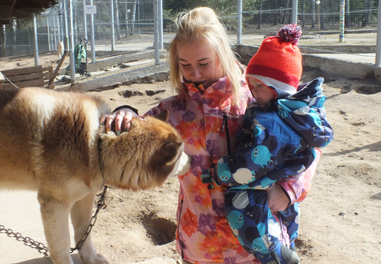 Прогулки с динозаврами) очень много фото