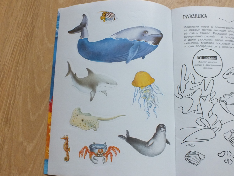 Пополнение библиотеки. Часть 4. Познавательная