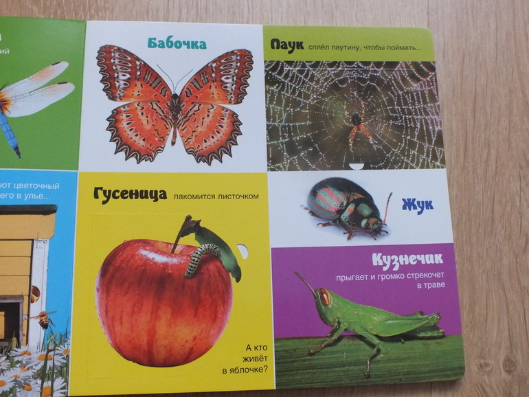 Пополнение библиотеки. Часть 4. Познавательная