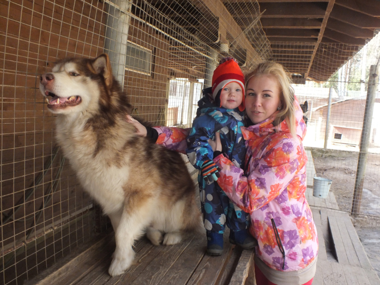 Прогулки с динозаврами) очень много фото