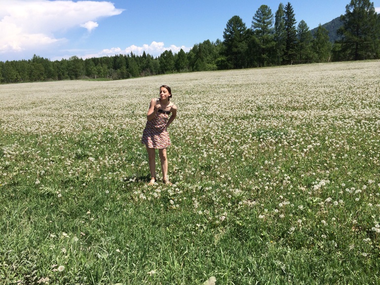 Поле одуванчиков.