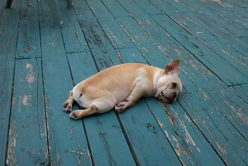 Пересдала ХГЧ.....