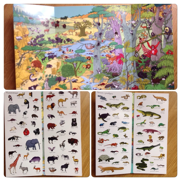 Наше книжное пополнение (2 года)