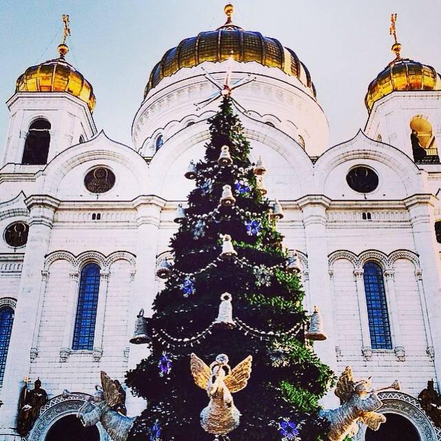 Елка в православном храме. Елка в храме Христа Спасителя. Храм Христа Спасителя Рождество. Храм Христа Спасителя новый год. Храм Христа Спасителя в Москве елка.