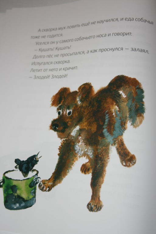 8d30abd8121fe719a7af7d2707e57a2d.jpg