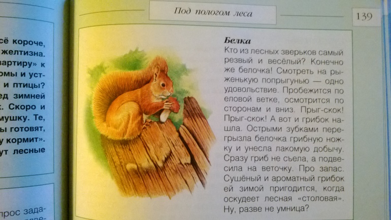 Белки..... белки.....