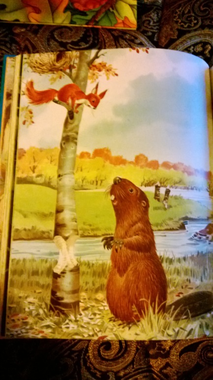 Белки..... белки.....