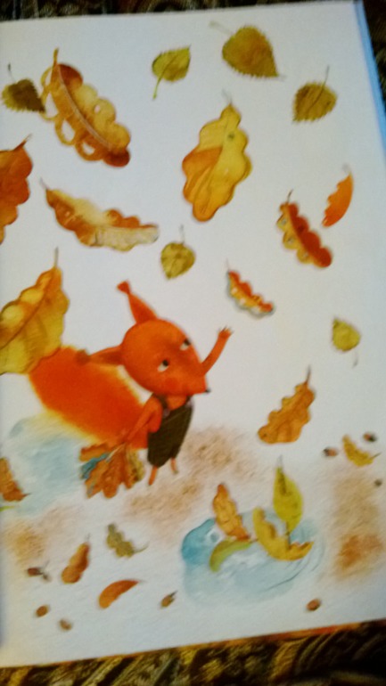 Белки..... белки.....