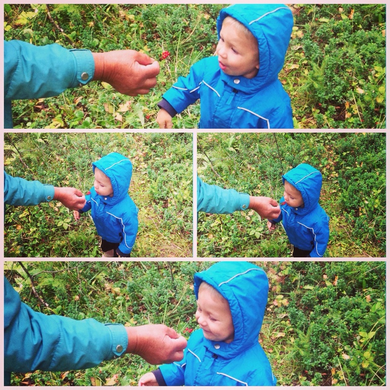 Фото дневник