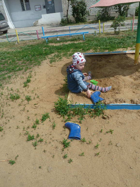 Утром прошёл дождик