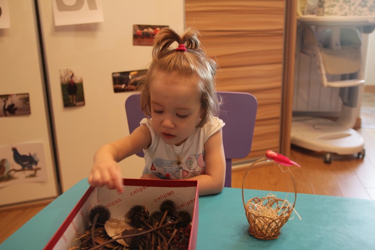 ТН Птицы день 1 вместе с проектом Play mama
