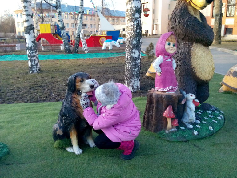 проверка связи