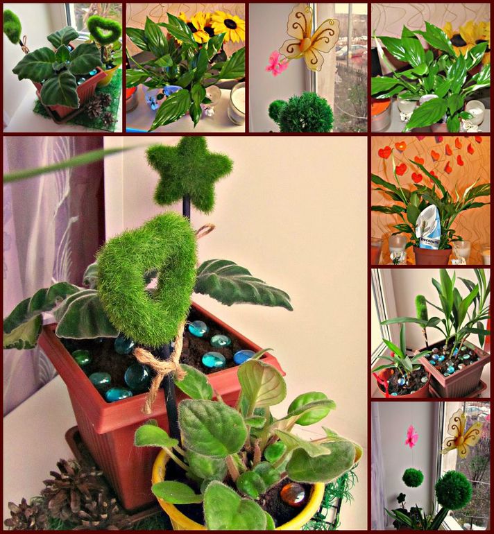 Мой Маленький Уголочек Лета!!!