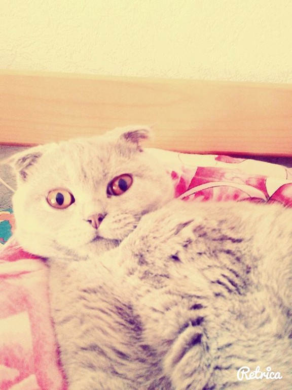 Наша красотка Шанель))))