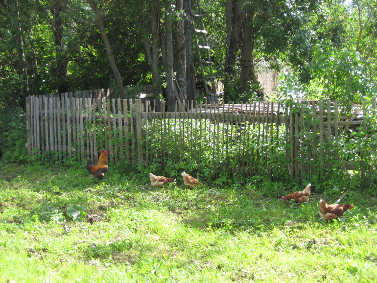 Деревня городскими глазами.