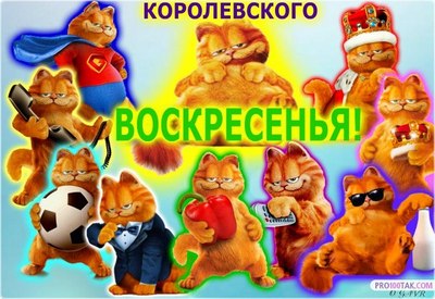 Именинницы ✺☆⋆ 16 марта⋆☆✺