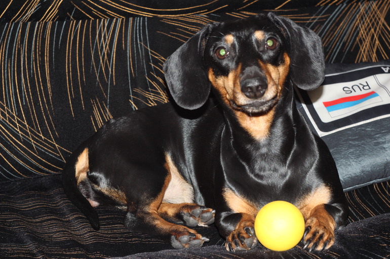 Наша любимка!!!